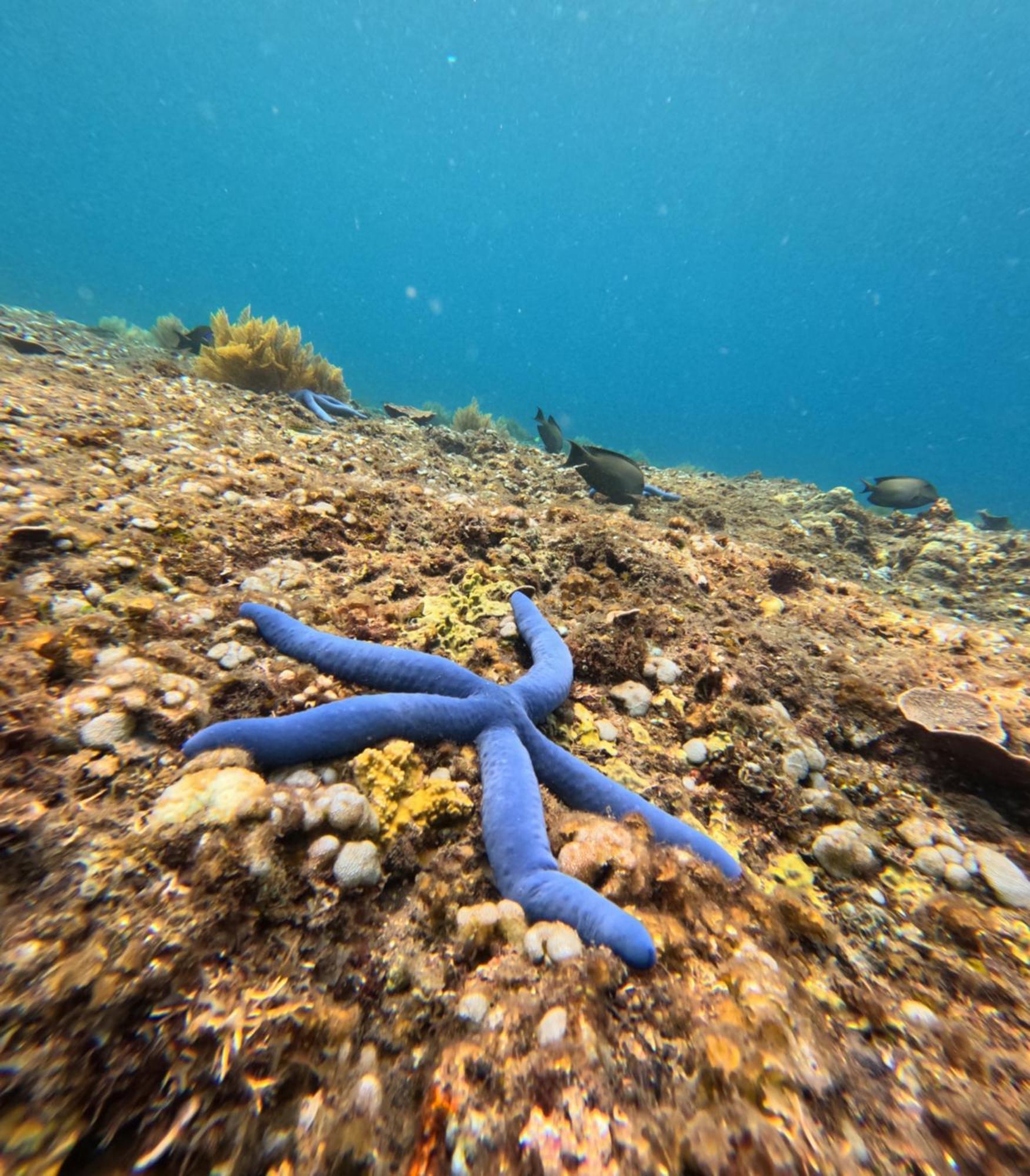 Blue Waves Hostel Amed Ambat ภายนอก รูปภาพ